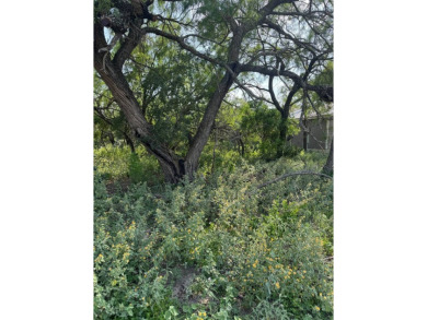 2 lots on the 4th Green of the Fort Clark Springs golf course on Fort Clark Springs Golf Course in Texas - for sale on GolfHomes.com, golf home, golf lot