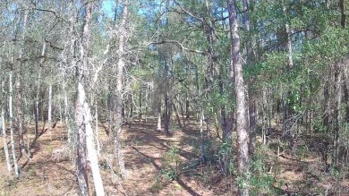 This Vacant Land is ready for your dream home or investment! on Citrus Springs Country Club in Florida - for sale on GolfHomes.com, golf home, golf lot