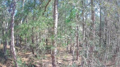This Vacant Land is ready for your dream home or investment! on Citrus Springs Country Club in Florida - for sale on GolfHomes.com, golf home, golf lot