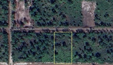 Build your dream home on this half-acre lot in Indian Lake on Indian Lake Estates Golf and Country Club in Florida - for sale on GolfHomes.com, golf home, golf lot