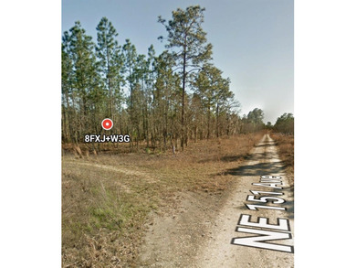 Discover the perfect opportunity to build your future home or on Williston Highlands Golf and Country Club in Florida - for sale on GolfHomes.com, golf home, golf lot