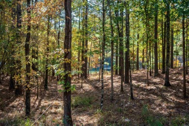 Are you looking for a lakefront lot on the east side of Hot on Granada Golf Course in Arkansas - for sale on GolfHomes.com, golf home, golf lot