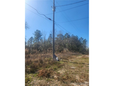 This Vacant Land is ready for your dream home or investment! on Pine Ridge Community Golf and Country Club in Florida - for sale on GolfHomes.com, golf home, golf lot