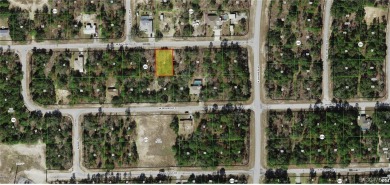 This Vacant Land is ready for your dream home or investment! on Pine Ridge Community Golf and Country Club in Florida - for sale on GolfHomes.com, golf home, golf lot