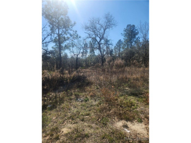 This Vacant Land is ready for your dream home or investment! on Pine Ridge Community Golf and Country Club in Florida - for sale on GolfHomes.com, golf home, golf lot