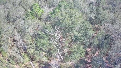 This Vacant Land is ready for your dream home or investment! on Pine Ridge Community Golf and Country Club in Florida - for sale on GolfHomes.com, golf home, golf lot