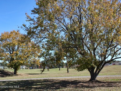 Golf Course Homesite located in Sedgefield. Certain home plans on Ocean Ridge Plantation in North Carolina - for sale on GolfHomes.com, golf home, golf lot