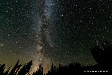 This .51 Acre homesite is situated between the tranquil shores on Osprey Meadows at Tamarack Resort in Idaho - for sale on GolfHomes.com, golf home, golf lot