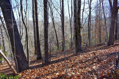 Fine mountain living is available in peaceful Aldersgate Ridge on Lake Junaluska Golf Course in North Carolina - for sale on GolfHomes.com, golf home, golf lot