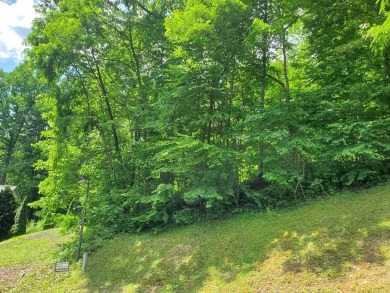 These lots are located in peaceful Aldersgate Ridge with access on Lake Junaluska Golf Course in North Carolina - for sale on GolfHomes.com, golf home, golf lot