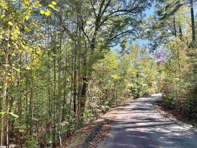 Come build your walk-out basement dream house in the GOLF COURSE on The Rock At Jocassee in South Carolina - for sale on GolfHomes.com, golf home, golf lot