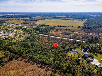Experience exceptional opportunity with this expansive 5-acre on Live Oak Golf Club and RV Park in Florida - for sale on GolfHomes.com, golf home, golf lot