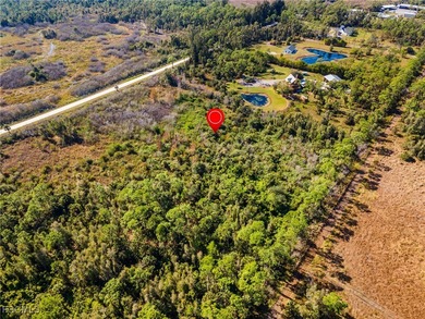 Experience exceptional opportunity with this expansive 5-acre on Live Oak Golf Club and RV Park in Florida - for sale on GolfHomes.com, golf home, golf lot
