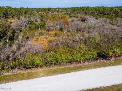 Experience exceptional opportunity with this expansive 5-acre on Live Oak Golf Club and RV Park in Florida - for sale on GolfHomes.com, golf home, golf lot