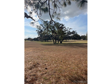 Price reduced - this is the only lot left on the golf course!! on Brentwood Farms Golf Club in Florida - for sale on GolfHomes.com, golf home, golf lot