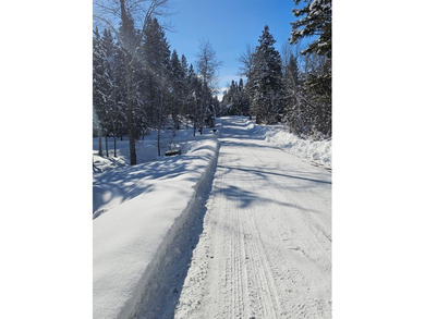 Escape to this gorgeous property on #2 Birch of the McCall Golf on McCall Municipal Golf Course in Idaho - for sale on GolfHomes.com, golf home, golf lot