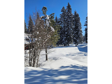 Escape to this gorgeous property on #2 Birch of the McCall Golf on McCall Municipal Golf Course in Idaho - for sale on GolfHomes.com, golf home, golf lot