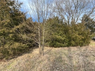 Nice, fairly level 0.32 acre lot with a slight upslope.  Great on Holiday Island Executive Golf Course in Arkansas - for sale on GolfHomes.com, golf home, golf lot