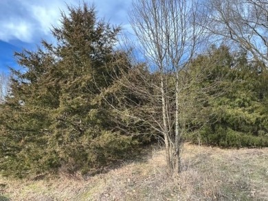 Nice, fairly level 0.32 acre lot with a slight upslope.  Great on Holiday Island Executive Golf Course in Arkansas - for sale on GolfHomes.com, golf home, golf lot