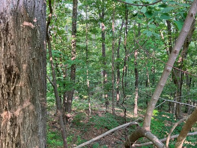 Owner Ready to Sell! 2.88 acre lot located in Riverbend on Rumbling Bald Resort on Lake Lure in North Carolina - for sale on GolfHomes.com, golf home, golf lot