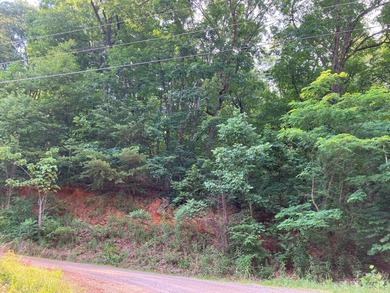 Owner Ready to Sell! 2.88 acre lot located in Riverbend on Rumbling Bald Resort on Lake Lure in North Carolina - for sale on GolfHomes.com, golf home, golf lot