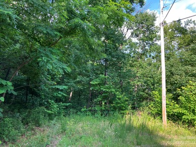 Owner Ready to Sell! 2.88 acre lot located in Riverbend on Rumbling Bald Resort on Lake Lure in North Carolina - for sale on GolfHomes.com, golf home, golf lot