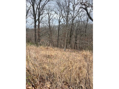 This ideally situated lot in Bella Vista, a highly desirable on Branchwood Golf Course in Arkansas - for sale on GolfHomes.com, golf home, golf lot