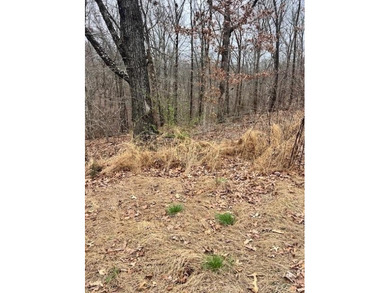 This ideally situated lot in Bella Vista, a highly desirable on Branchwood Golf Course in Arkansas - for sale on GolfHomes.com, golf home, golf lot
