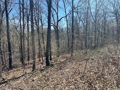 This ideally situated lot in Bella Vista, a highly desirable on Branchwood Golf Course in Arkansas - for sale on GolfHomes.com, golf home, golf lot