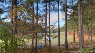 Stunning low maintenance and newly updated Villa located in the on Anderson Creek Golf Club in North Carolina - for sale on GolfHomes.com, golf home, golf lot