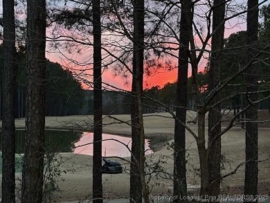 Stunning low maintenance and newly updated Villa located in the on Anderson Creek Golf Club in North Carolina - for sale on GolfHomes.com, golf home, golf lot