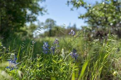 This beautiful 3+ acre homesite sits inside a gated golf on The Retreat in Texas - for sale on GolfHomes.com, golf home, golf lot