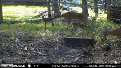 GORGEOUS METICULOUSLY MAINTAINED 3BED/3BATH PLUS BONUS ROOM on Anderson Creek Golf Club in North Carolina - for sale on GolfHomes.com, golf home, golf lot