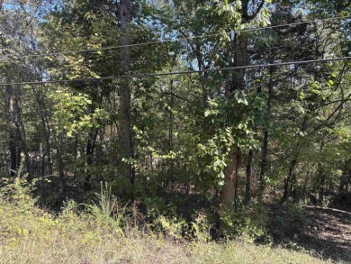 Lakefront Lot in Cherokee Village, Arkansas  Don't miss this on Cherokee Village North Course in Arkansas - for sale on GolfHomes.com, golf home, golf lot