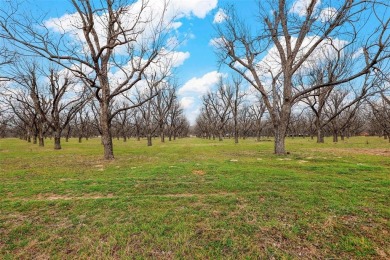 This breathtaking 2.666-acre ranch lot is the perfect canvas for on Pecan Plantation Country Club in Texas - for sale on GolfHomes.com, golf home, golf lot