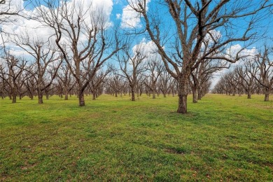 This breathtaking 2.666-acre ranch lot is the perfect canvas for on Pecan Plantation Country Club in Texas - for sale on GolfHomes.com, golf home, golf lot