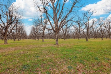 This breathtaking 2.666-acre ranch lot is the perfect canvas for on Pecan Plantation Country Club in Texas - for sale on GolfHomes.com, golf home, golf lot