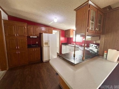 Welcome to the market this well maintained 3 bedroom 2 bathroom on Pine Hills Golf Course in Arkansas - for sale on GolfHomes.com, golf home, golf lot