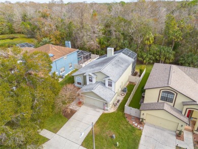 Nestled in the serene community of Brookers Landing, this on East Lake Woodlands Country Club in Florida - for sale on GolfHomes.com, golf home, golf lot