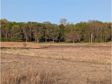 Time to plan your future! The newest large acreage community of on The Ponds Golf Club in Minnesota - for sale on GolfHomes.com, golf home, golf lot