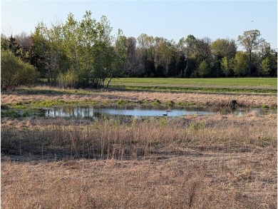 Time to plan your future! The newest large acreage community of on The Ponds Golf Club in Minnesota - for sale on GolfHomes.com, golf home, golf lot