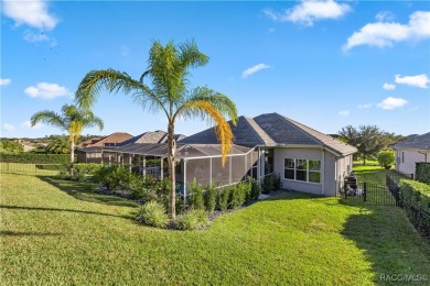 Enjoy the Savings! Dream of a Stunning 2022 Tiffany Style Pool on Skyview At Terra Vista Golf and Country Club in Florida - for sale on GolfHomes.com, golf home, golf lot