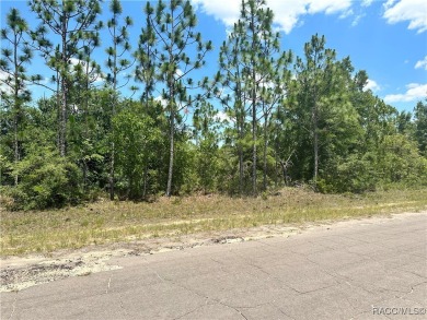 Situated in the heart of Sunny Hills, this residential lot on Sunny Hills Golf and Country Club in Florida - for sale on GolfHomes.com, golf home, golf lot