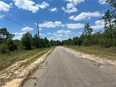 Situated in the heart of Sunny Hills, this residential lot on Sunny Hills Golf and Country Club in Florida - for sale on GolfHomes.com, golf home, golf lot