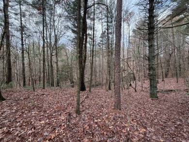 Beautiful and nice-laying lot located in the upscale community on White Path Golf Club in Georgia - for sale on GolfHomes.com, golf home, golf lot