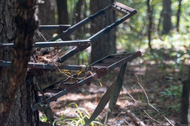 With hunting season officially here, we're excited to present on  in Arkansas - for sale on GolfHomes.com, golf home, golf lot