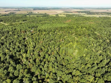 With hunting season officially here, we're excited to present on  in Arkansas - for sale on GolfHomes.com, golf home, golf lot