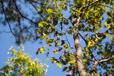 With hunting season officially here, we're excited to present on  in Arkansas - for sale on GolfHomes.com, golf home, golf lot