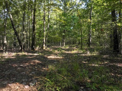 With hunting season officially here, we're excited to present on  in Arkansas - for sale on GolfHomes.com, golf home, golf lot