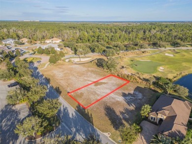 Welcome to Your Future Home Site at 439 Bourganville Dr., Palm on Conservatory Course At Hammock Beach Resort in Florida - for sale on GolfHomes.com, golf home, golf lot